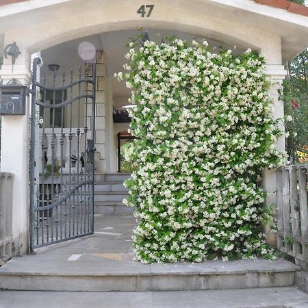 Apartmaji Stamcar Izola Exteriör bild
