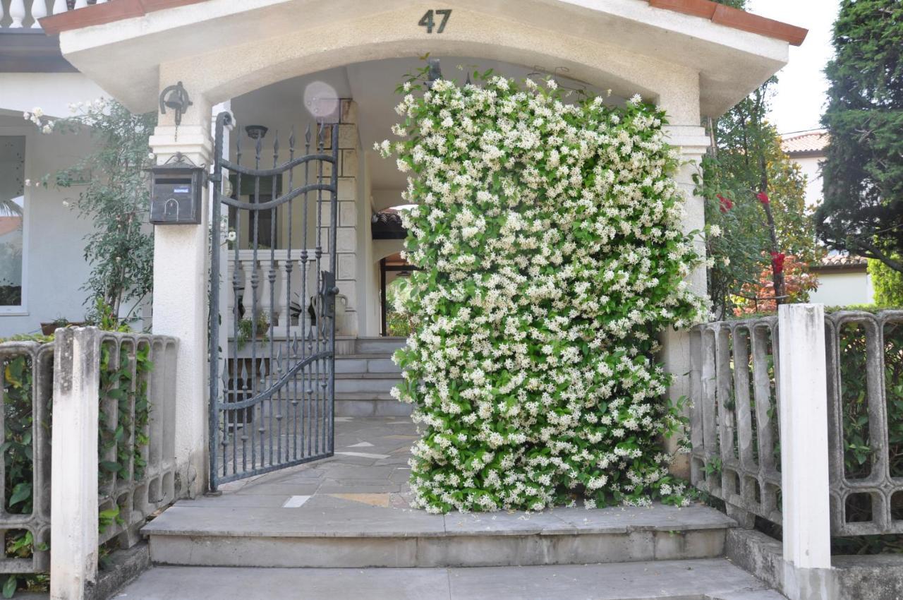 Apartmaji Stamcar Izola Exteriör bild